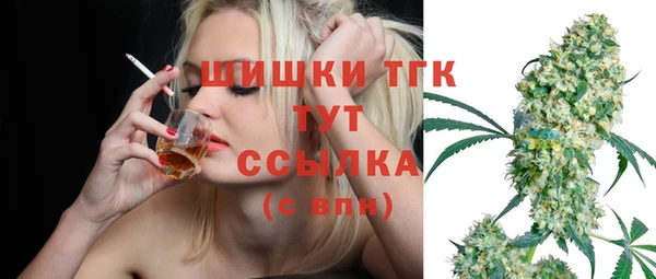 ГАЛЛЮЦИНОГЕННЫЕ ГРИБЫ Пересвет