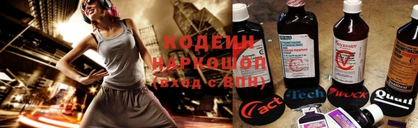 ГАЛЛЮЦИНОГЕННЫЕ ГРИБЫ Пересвет